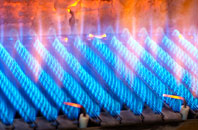 Purdysburn gas fired boilers